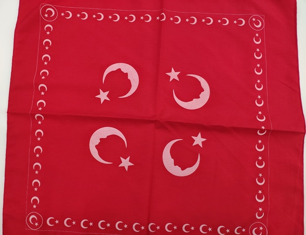 BANDANA 12’Lİ PAKET KOD 1072